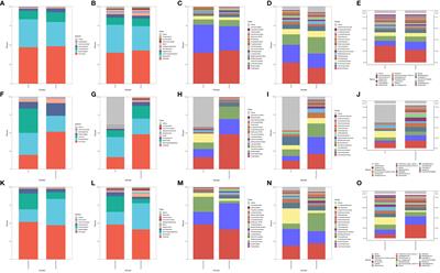 Characteristics of the gut microbiota of patients with symptomatic carotid atherosclerotic plaques positive for bacterial genetic material